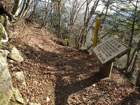 20171207hike (364)